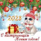С Наступающим Новым 2023 годом!!!