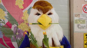 Милых дам РГГУ сегодня поздравили с наступающим праздником