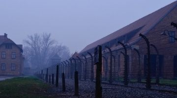 Илья Альтман обсудил со студентами Холокост и политику памяти