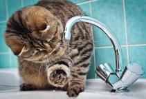 Отключение отопления и горячего водоснабжения