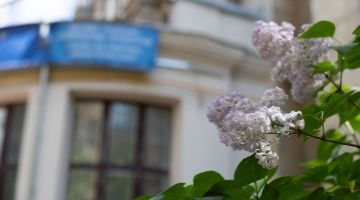 День открытых дверей