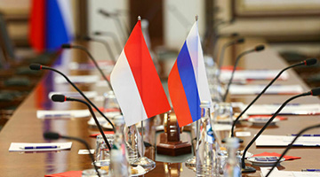 РГГУ и Университет Аирлангга наметили направления академического сотрудничества