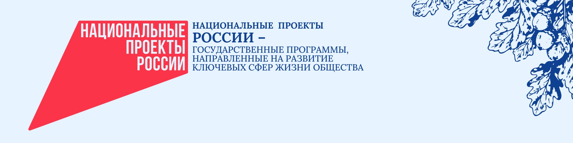 Национальные проекты России