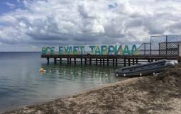 ФАД на «Тавриде»