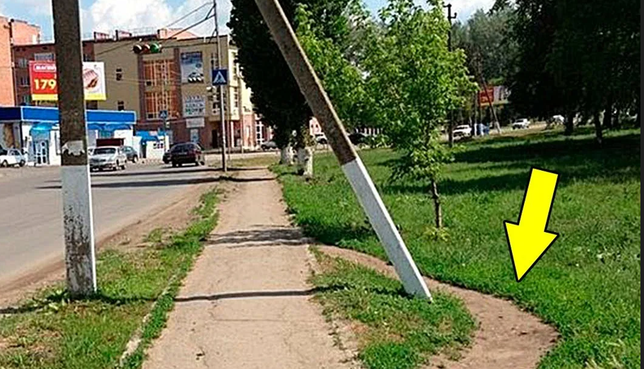 Мифологические представления и ритуализованные практики в современном российском обществе: трансмиссия традиции и механизмы заимствований