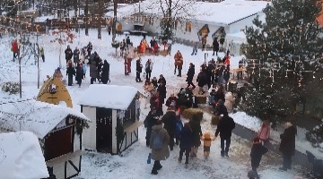 Экскурсия на Рождественский базар в Немецкой школе