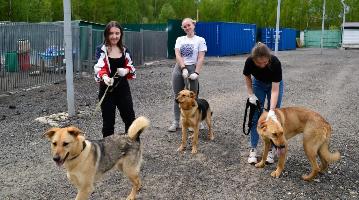 Волонтёрский центр РГГУ побывал на выезде в приюте для собак