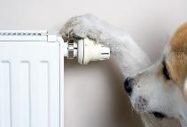 Отключение отопления