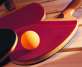 RSUH Table Tennis Team Winning in Cordoba, Spain