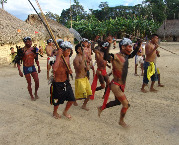 Венесуэла, штат Амазонас, община яномамо епропотери, праздник урожая, фото А.А. Матусовского, 2011 г.