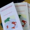 Международная конференция  «Итальянская идентичность: единство в многообразии»