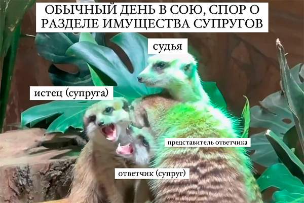 Юристы тоже шутят. На юридическом факультете ИЭУП состоялся конкурс мемов