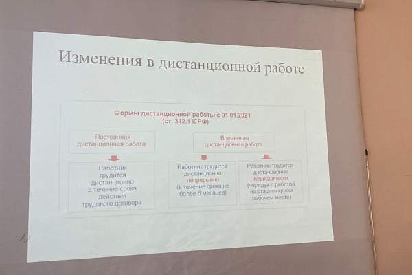 Состоялся мастер-класс «Оформление трудового договора с дистанционными работниками»