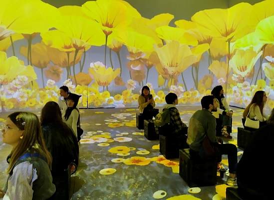 Выездное занятие для студентов Гуманитарного колледжа специальности Техника и искусство фотографии