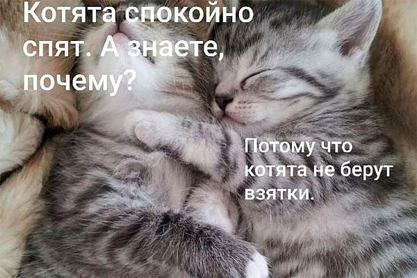 Юристы тоже шутят. На юридическом факультете ИЭУП состоялся конкурс мемов