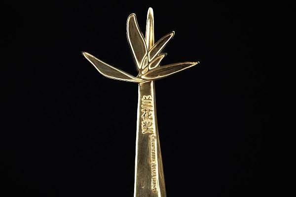 Директор Института Конфуция РГГУ был удостоен награды «За вклад в развитие Института Конфуция»